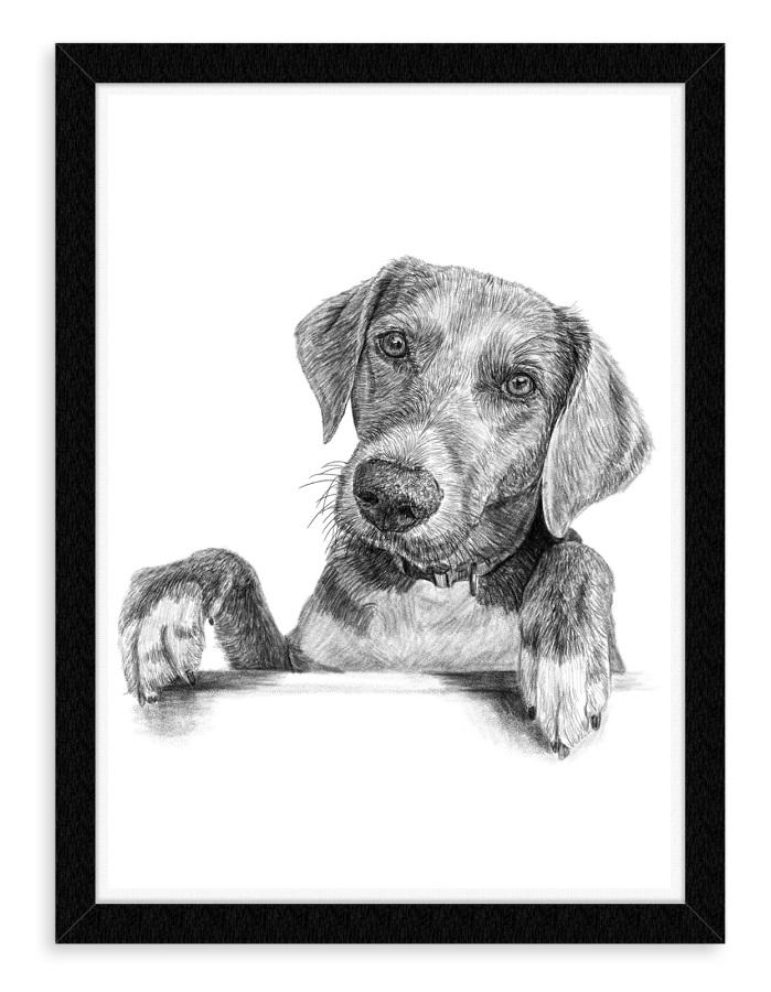 Udgående modul Kammer Tegning af hund → Gaven til alle hundeelskere - Anydog