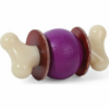 Busy Buddy Bouncy Bone.